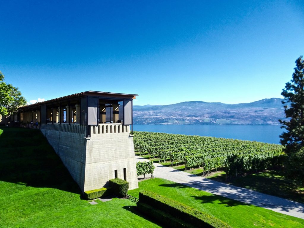 West Kelowna wine tours Teehouse Wine Tours
