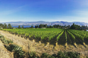 Beaumont Family Estate Winery