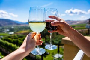 people cheersing on a Kelowna wine tour