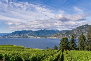 okanagan vallery winery